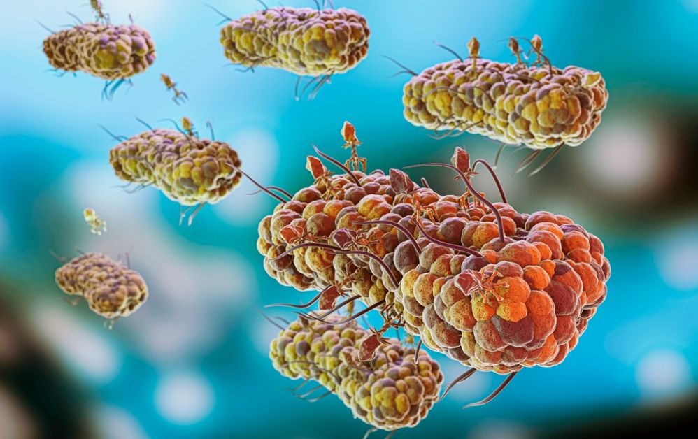 Mengenal Mikroba: Makhluk Kecil yang Menentukan Kesehatan Manusia